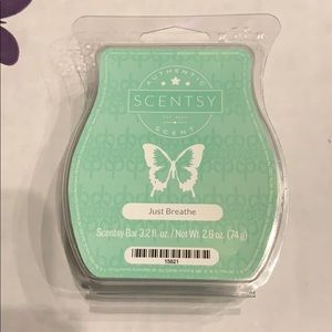 Scentsy wax melts